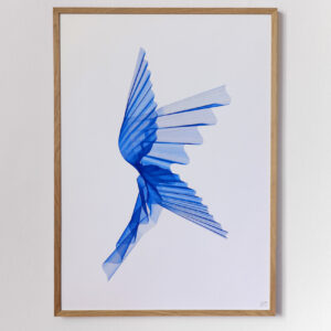 Lichtplot / Lightplot